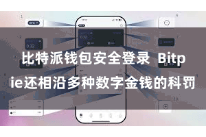 比特派钱包安全登录 Bitpie还相沿多种数字金钱的科罚