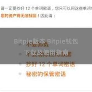 Bitpie版本 Bitpie钱包下载及使用指南