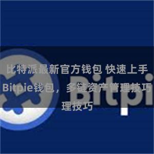 比特派最新官方钱包 快速上手Bitpie钱包，多链资产管理技巧