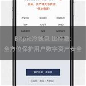 Bitpie冷钱包 比特派：全方位保护用户数字资产安全