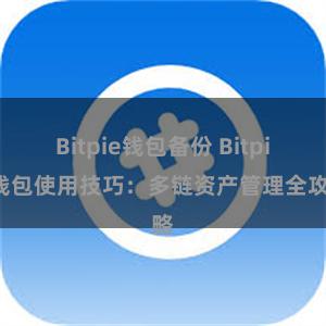 Bitpie钱包备份 Bitpie钱包使用技巧：多链资产管理全攻略