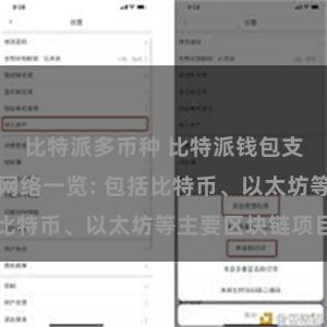 比特派多币种 比特派钱包支持的区块链网络一览: 包括比特币、以太坊等主要区块链项目