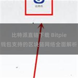 比特派直链下载 Bitpie钱包支持的区块链网络全面解析