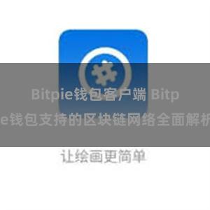 Bitpie钱包客户端 Bitpie钱包支持的区块链网络全面解析