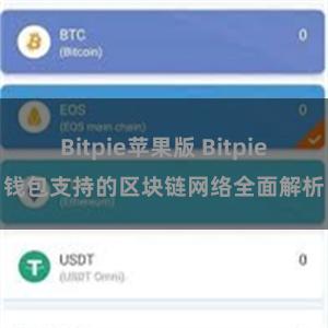 Bitpie苹果版 Bitpie钱包支持的区块链网络全面解析