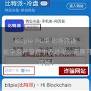 Bitpie PC版 比特派钱包：数字资产管理生态进化，无限可能！