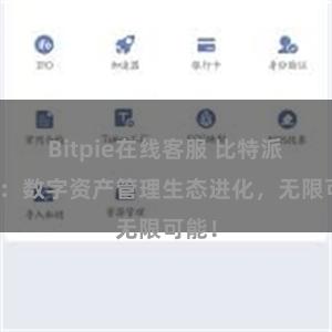 Bitpie在线客服 比特派钱包：数字资产管理生态进化，无限可能！