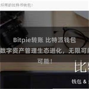 Bitpie转账 比特派钱包：数字资产管理生态进化，无限可能！