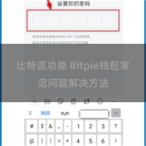 比特派功能 Bitpie钱包常见问题解决方法