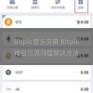 Bitpie官方应用 Bitpie钱包常见问题解决方法