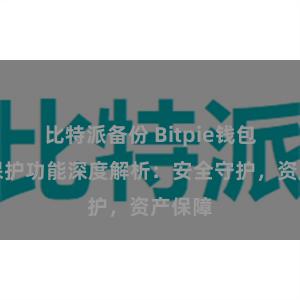 比特派备份 Bitpie钱包隐私保护功能深度解析：安全守护，资产保障