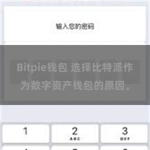 Bitpie钱包 选择比特派作为数字资产钱包的原因。