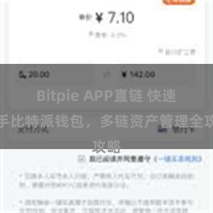 Bitpie APP直链 快速上手比特派钱包，多链资产管理全攻略