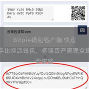 Bitpie钱包客户端 快速上手比特派钱包，多链资产管理全攻略