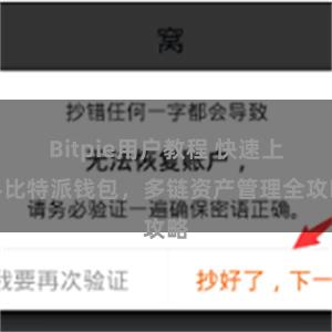 Bitpie用户教程 快速上手比特派钱包，多链资产管理全攻略