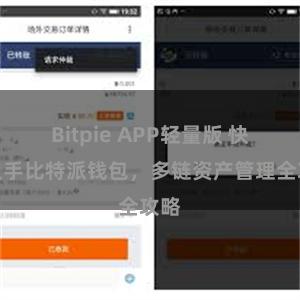 Bitpie APP轻量版 快速上手比特派钱包，多链资产管理全攻略