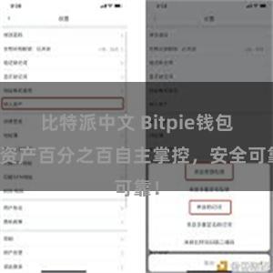 比特派中文 Bitpie钱包：资产百分之百自主掌控，安全可靠！