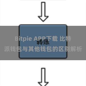 Bitpie APP下载 比特派钱包与其他钱包的区别解析