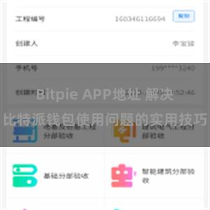 Bitpie APP地址 解决比特派钱包使用问题的实用技巧