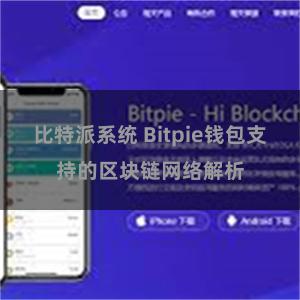 比特派系统 Bitpie钱包支持的区块链网络解析