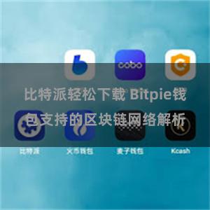 比特派轻松下载 Bitpie钱包支持的区块链网络解析