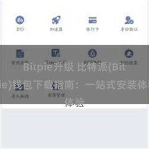 Bitpie升级 比特派(Bitpie)钱包下载指南：一站式安装体验