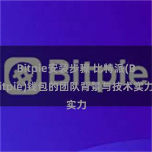 Bitpie安装步骤 比特派(Bitpie)钱包的团队背景与技术实力