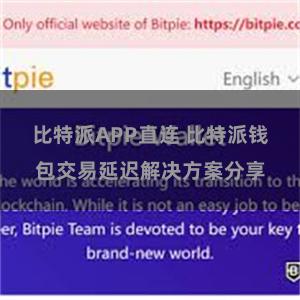 比特派APP直连 比特派钱包交易延迟解决方案分享