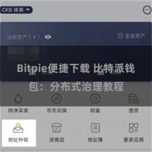 Bitpie便捷下载 比特派钱包：分布式治理教程