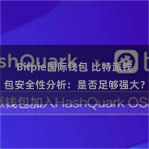 Bitpie国际钱包 比特派钱包安全性分析：是否足够强大？