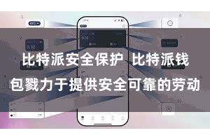 比特派安全保护  比特派钱包戮力于提供安全可靠的劳动